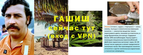 apvp Алзамай