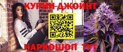 мдпв Славгород
