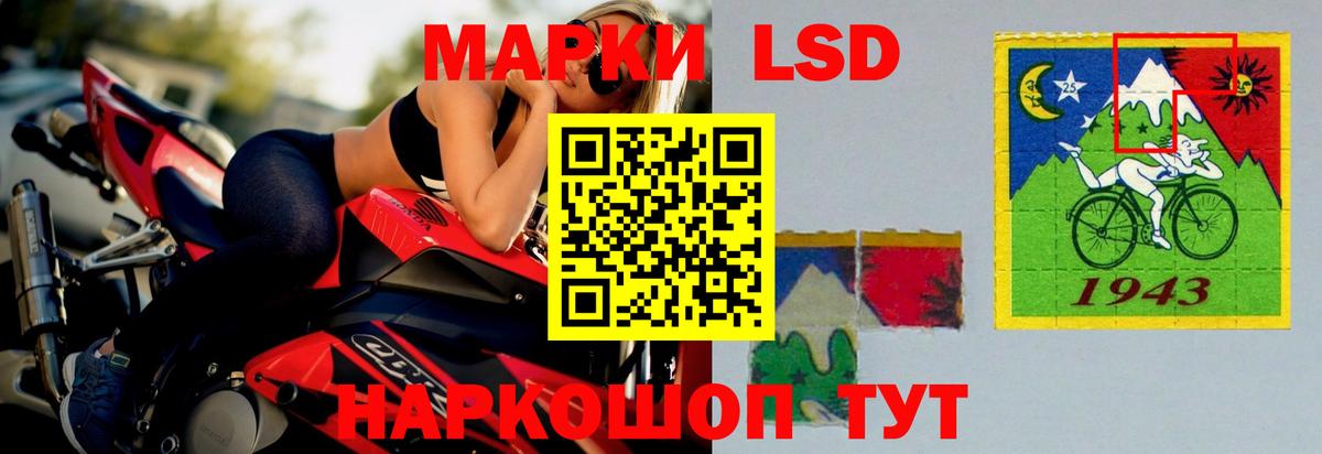 LSD-25 Ставрополь