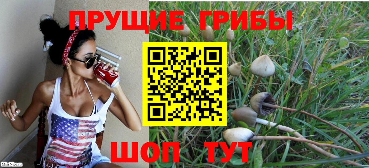 Псилоцибиновые грибы MAGIC MUSHROOMS  Вход с VPN  Ставрополь  наркотики  Галлюциногенные грибы GOLDEN TEACHER 