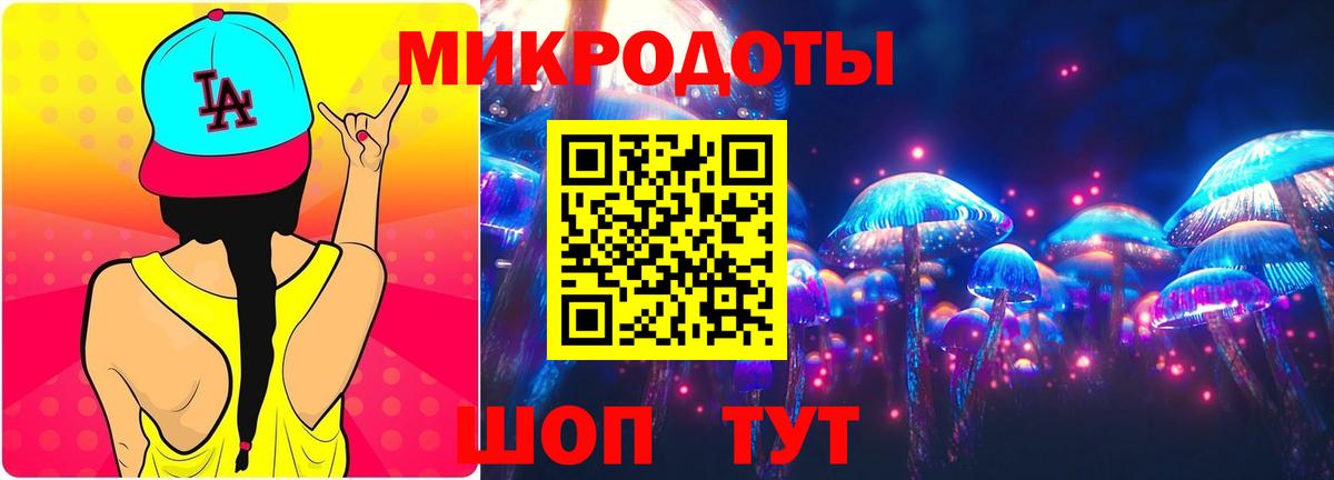 Псилоцибиновые грибы Psilocybe Ставрополь
